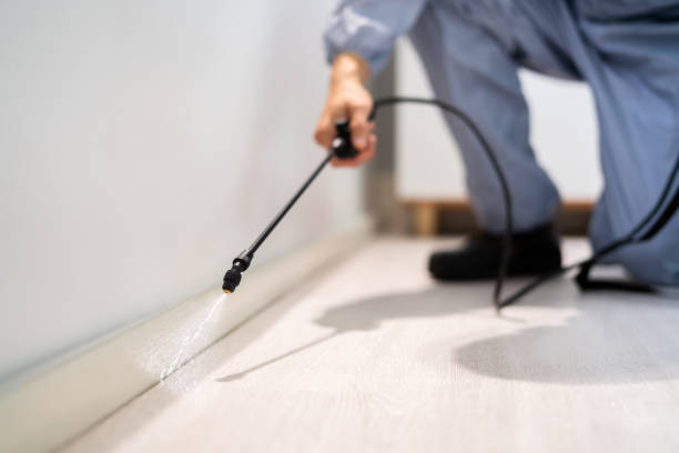 Licensed Pest Control service in Bunk Foss, WA - Show Me Pest Control