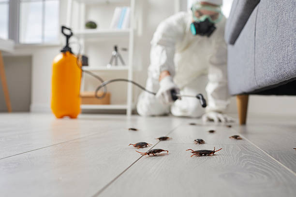 Post-Treatment Bed Bug Interceptor Monitoring in Bunk Foss