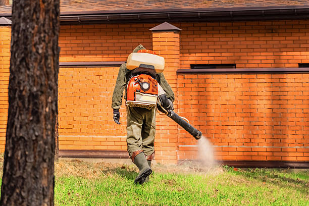 Bed Bug Clearance Verification and Documentation in Bunk Foss